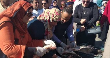 بيطرى الوادى الجديد ينفذ حملة مكبرة على محلات الجزارة والأسماك ويعدم بقرة مريضة