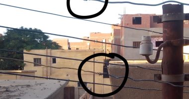 قارئ يشكو من تهالك عمود كهرباء فى شارع الجمعيه كوم الضبع بالمنوفية