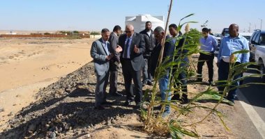 صور.. محافظ الوادى الجديد يوجه برفع المخلفات وتشجير مداخل الخارجة