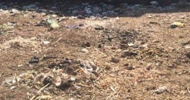 شكوى من عدم وجود شبكة صرف صحى بقرية وليدة بالفيوم