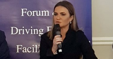 كل ما تريد معرفته عن المنطقة الاستثمارية بميت غمر 