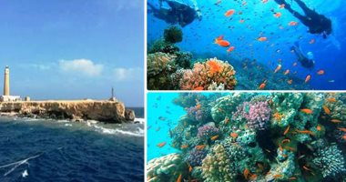 صور.. هنا "جزيرة الأخوين" أجمل جزر البحر الأحمر تمنحها الشعاب المرجانية فرادة وتميزا.. يقصدها سياح العالم دون غيرها لاحتوائها على أفضل تجمع مرجانى على الإطلاق.. وصفها بحار فرنسى بأنها ذات مياه كريستالية صافية