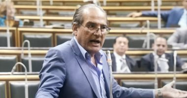 انتخابات تكميلية بالجيزة بعد إعلان خلو المقعد بوفاة النائب محمد بدوى دسوقى