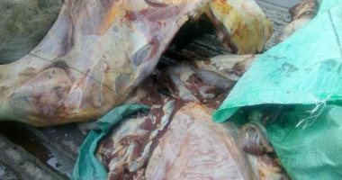 ضبط لحوم وأسماك وكبده غير صالحة للاستهلاك الآدمي بدمياط 