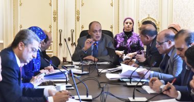 "مشروعات البرلمان": الوصول لتعريفات شاملة للمشروعات الصغيرة يمنع الأخطاء