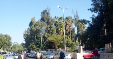 قارئ يشارك بصور لأعمدة إنارة مضاءة نهارا بجوار سور وزارة الزراعة بالدقى