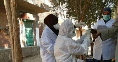 خطة بيطري أسوان تسيطر علي الحمي القلاعية والوادي المتصدع