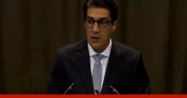 ممثل مصر بالعدل الدولية: قطر توفر ملاذا للإخوان وتدعم الإرهابيين فى سيناء