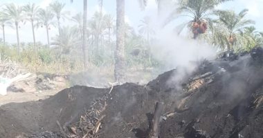 إزالة 5 مكامير فحم فى كفر البطيخ بدمياط 