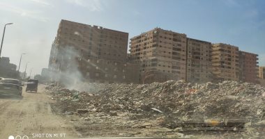 قارئ يشكو من انتشار القمامة ومخلفات القمامة بمدينة قباء فى جسر السويس