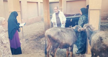 الزراعة: قافلة لعلاج وتلقيح الماشية بالقرى الأكثر احتياجا فى القليوبية.. صور