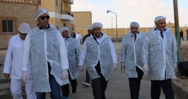 وزير الزراعة: مشروع لإنتاج 3 ملايين بيضة خالية من المسببات المرضية سنويا
