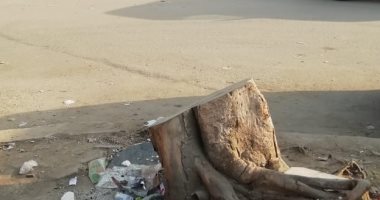 شكوى من قطع الأشجار وترك جزء يعوق المارة بشارع أبو بكر الصديق مدينة نصر