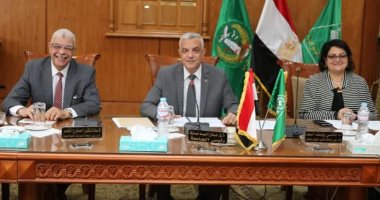 مقررة المرأة بالشرقية تطالب بتعزيز الوعى المجتمعى لوقف العنف ضد المرأة