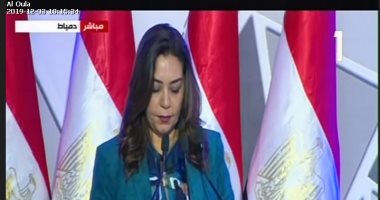محافظ دمياط: 91 مليار جنيه حجم استثمارات المحافظة منذ 2014 حتى 2019