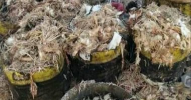 "بيطري أسوان": مخاطبة رؤساء الوحدات المحلية لرفع المخلفات من الأسواق
