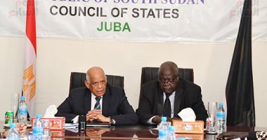 على عبد العال: جنوب السودان دولة محورية وشريك رئيسى لمصر فى القارة الأفريقية