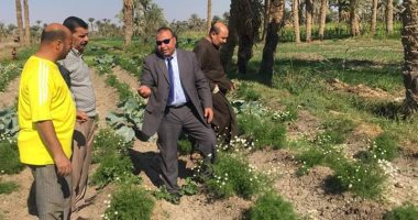  وكيل زراعة الفيوم يتفقد عدد من الحقول بمركزي ابشواى ويوسف الصديق