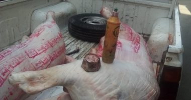  ضبط مواطن حول منزله إلى "سلخانة" فى دمنهور لذبح الماشية وتزوير الأختام