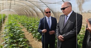 محافظ قنا ورئيس البك المركزى للتعمير يتفقدان مشروع التنمية المتكاملة 