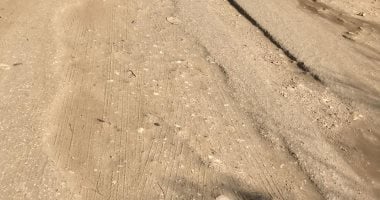 قارئ يطلب بإعادة رصف الطريق بحدائق الأهرام