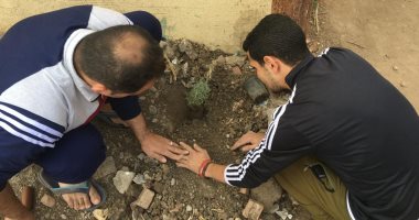 أهالى قرية شبرا بابل بمحافظة الغربية يتطوعون لتنظيفها وتشجير شوارعها.. صور 