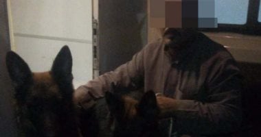 إصابة طفلين أطلق عليهما خفير كلبين فى المعصرة