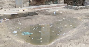 شكوى من تراكم مياه الصرف الصحى فى شارع فلسطين بالصف