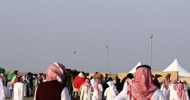 انطلاق فعاليات مهرجان الظفرة 2019 بالإمارات بدورته الـ 13