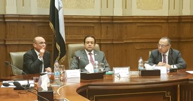 عمر مروان: تقرير مصر عن حالة حقوق الإنسان كشف زيف الآلة الإعلامية العدائية