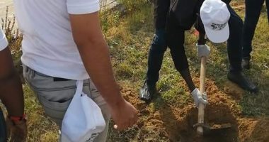 صور.. متطوعو الاتحاد الإفريقى يزرعون 100 شجرة بمنتدى 15 مايو