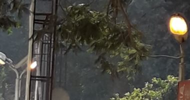 قارئ يرصد إضاءة أعمدة الإنارة نهارا فى شارع أحمد عرابى المهندسين