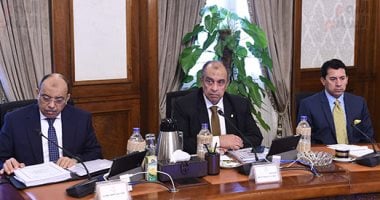 الحكومة تقرر تنظيم منح الجنسية للأجانب وإنشاء وحدة لفحص طلبات التجنس 