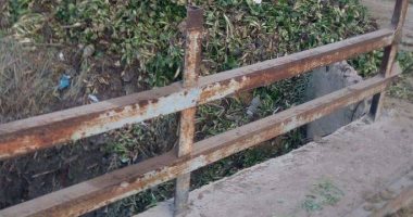 أهالى قرية الزعفرانى بكوم حمادة فى البحيرة يطالبون بتنظيف الترعة من المخلفات وورد النيل
