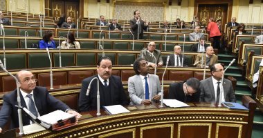 مطالب برلمانية بدعم قصور الثقافة وحماية الشباب من استقطاب الجماعات الإرهابية