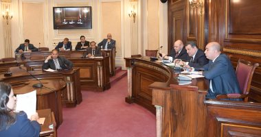 صور.. الآثار: 24 شركة عالمية قدموا عروضا لإقامة احتفال المتحف المصرى الكبير