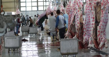 بيطرى سوهاج يعلن حالة الطوارئ وتشغيل 26 مجزراً.. ويحذر من الذبح بالخارج