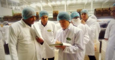 وفد يابانى يزور القاهرة لفتح أسواقها أمام البرتقال المصرى