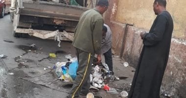 صور.. رفع 50 طن قمامة وأتربة فى حملات شرقى الأقصر 