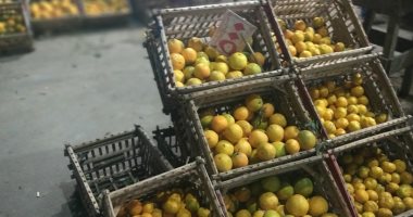 صور.. استقرار أسعار السلع بأسواق الخضراوات والفاكهة بمطروح  