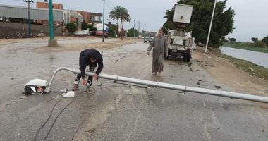 سقوط 3 أعمدة إنارة ونخلة وشجرة بطرق فى الجيزة بسبب الطقس.. صور