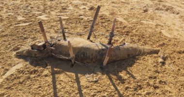 التعليم العالى: العثور على دولفين نافق بشاطئ الأدبية ودفنه بالجير الحى