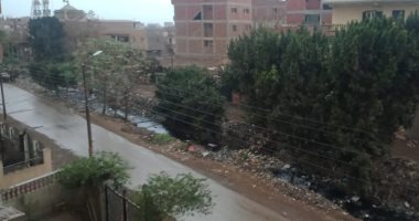 صور.. أمطار ورياح شديدة تضرب مدن محافظة القليوبية