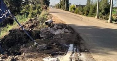 قارئ يطالب بتوسيع طريق دسوق - قلين بكفر الشيخ تجنبا للحوادث