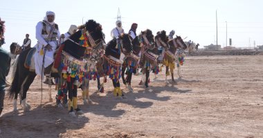 مطروح تواصل الاحتفال بعيدها القومى وتكريم المحافظين السابقين.. اليوم 