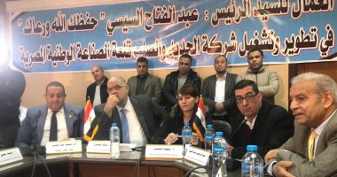 الحديد والصلب: استغلال الأصول غير المستغلة كفيل بانقاذ الشركة 