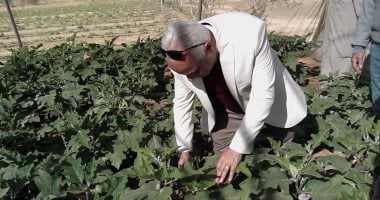رئيس مدينة نخل يتفقد مزارع تجمع الرواق التنموى بشمال سيناء.. صور