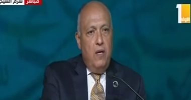 وزير الخارجية: نسعى لإيجاد حلول للصراعات بإفريقيا.. وتفعيل دور القارة لتسوية أزمة ليبيا
