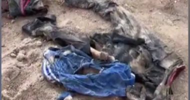 العثور على مقبرة جماعية تضم 643 جثة بالعراق تعود إلى عام 2016 