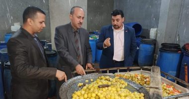 صور.. ضبط 6 أطنان مخلل غير صالحة للاستهلاك داخل 3 مصانع بالقناطر الخيرية